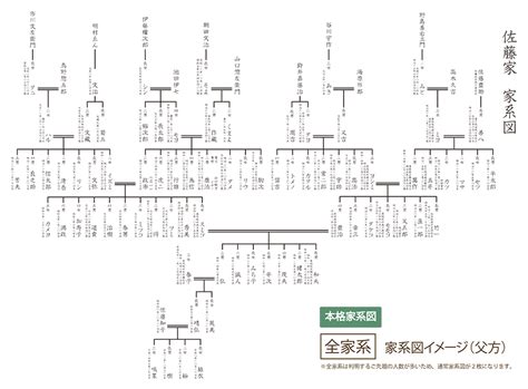 家樹|話題の家系図作成サービス「家樹」を徹底解説！｜や 